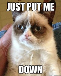 Grumpyy Cat