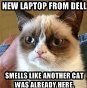 dell-laptop-cat-smell