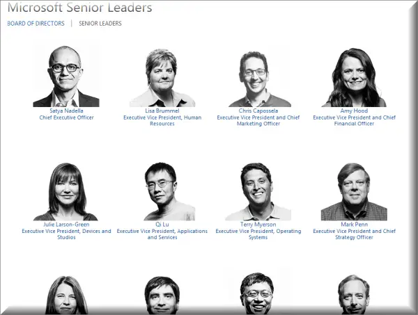 Microsoft senior leadership