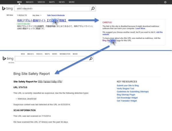Bing Site Safety Page