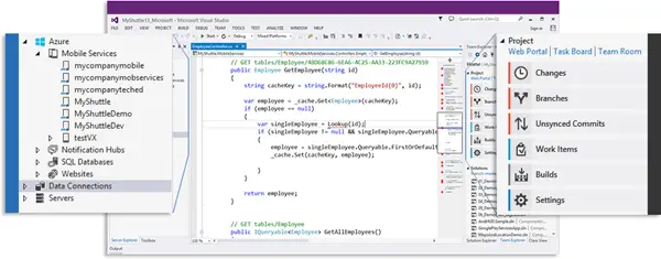 download difference between visual studio community and professional