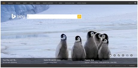 The Most Popular Bing Homepages of 2014