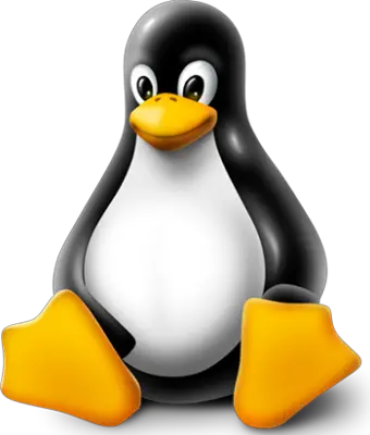 linux-image