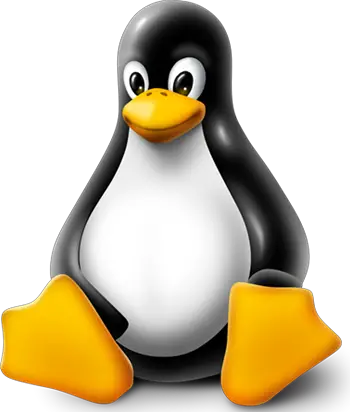 linux-image