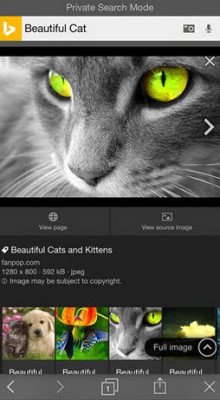 Private Search mode in Bing app for iPhone 