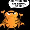 bug bounty