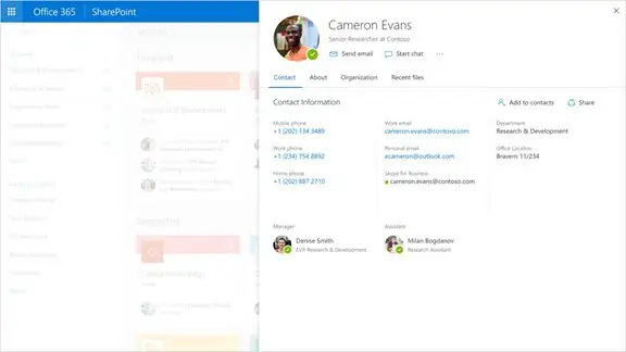 Office 365 profile experience