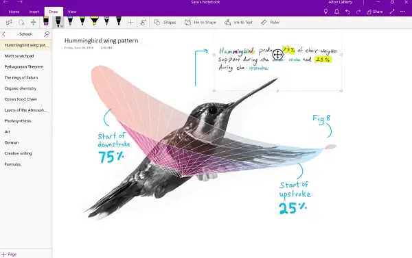 Best version of OneNote