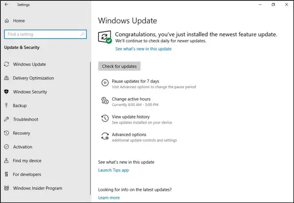 Windows 10 Home v1903 may get "Pause Updates" option