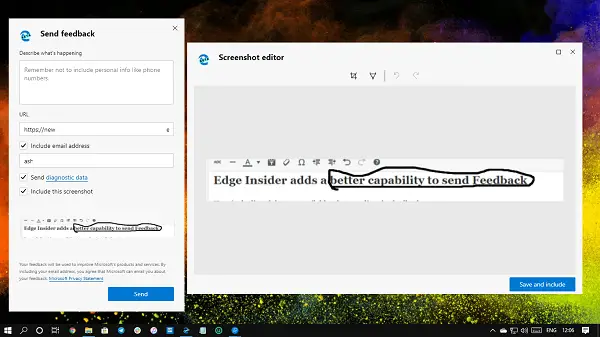 Edge Insider Feedback Edit Screenshot