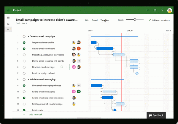 Microsoft Project View