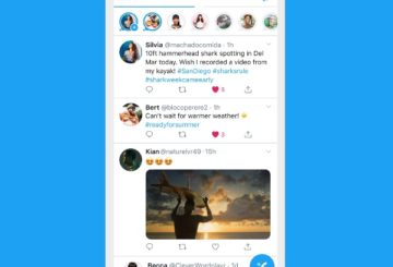 Twitter Fleets