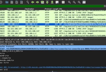 TikTok HTTP Network Traffic