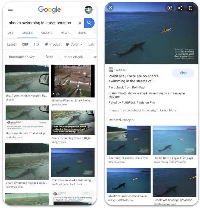 Google Images Fact Check