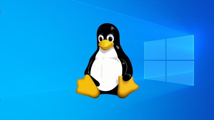 Windows 10 Linux