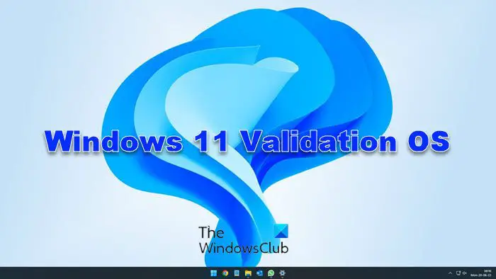 Windows 11 Validation OS