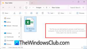 The file you are attempting to preview could harm your computer